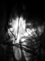 /album/pavucina-snov-stareho-carodeja/a001-jpg7/