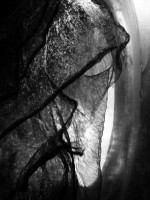 /album/pavucina-snov-stareho-carodeja/a005-jpg2/