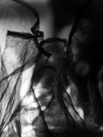 /album/pavucina-snov-stareho-carodeja/a014-jpg/