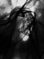 /album/pavucina-snov-stareho-carodeja/a017-jpg/