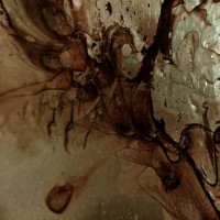 /album/electronic-meditation/a002-jpg6/