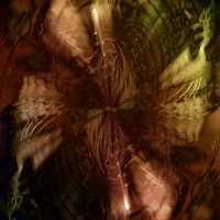 /album/electronic-meditation-vol-4/a007-jpg/