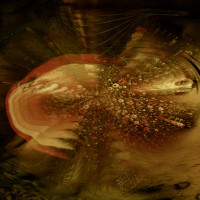 /album/electronic-meditation-vol-4/a011-jpg2/