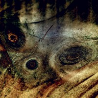 /album/elements-vol-1/a004-jpg5/