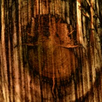 /album/elements-vol-1/a006-jpg2/