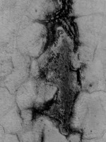 /album/bw-abstrakty/melancholia-jpg/